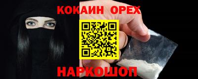 индика Гусев