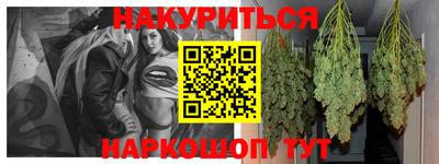 индика Гусев