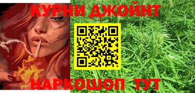 индика Гусев